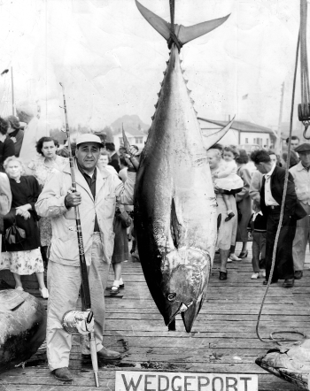 Big Tuna